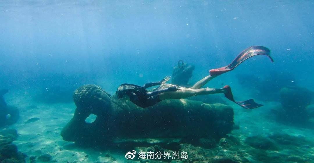 寻找萌小老虎