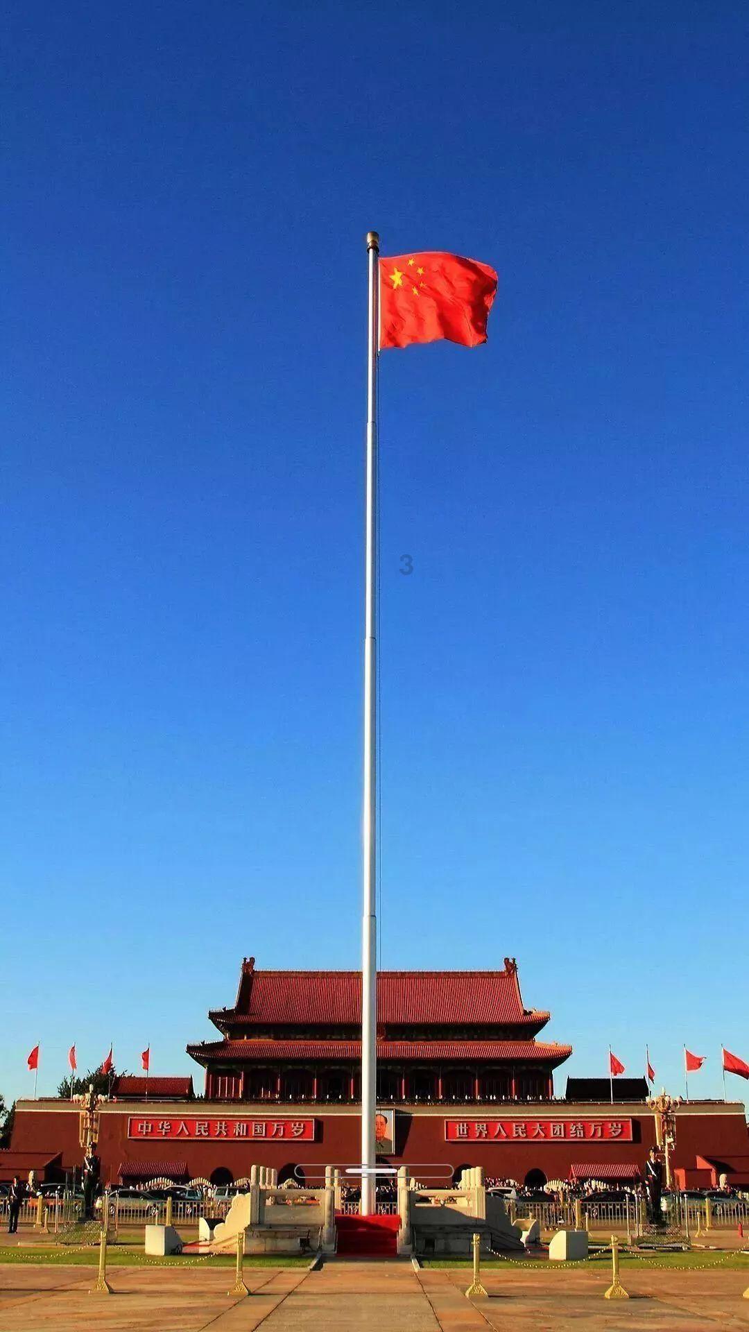 美妙森林找不同
