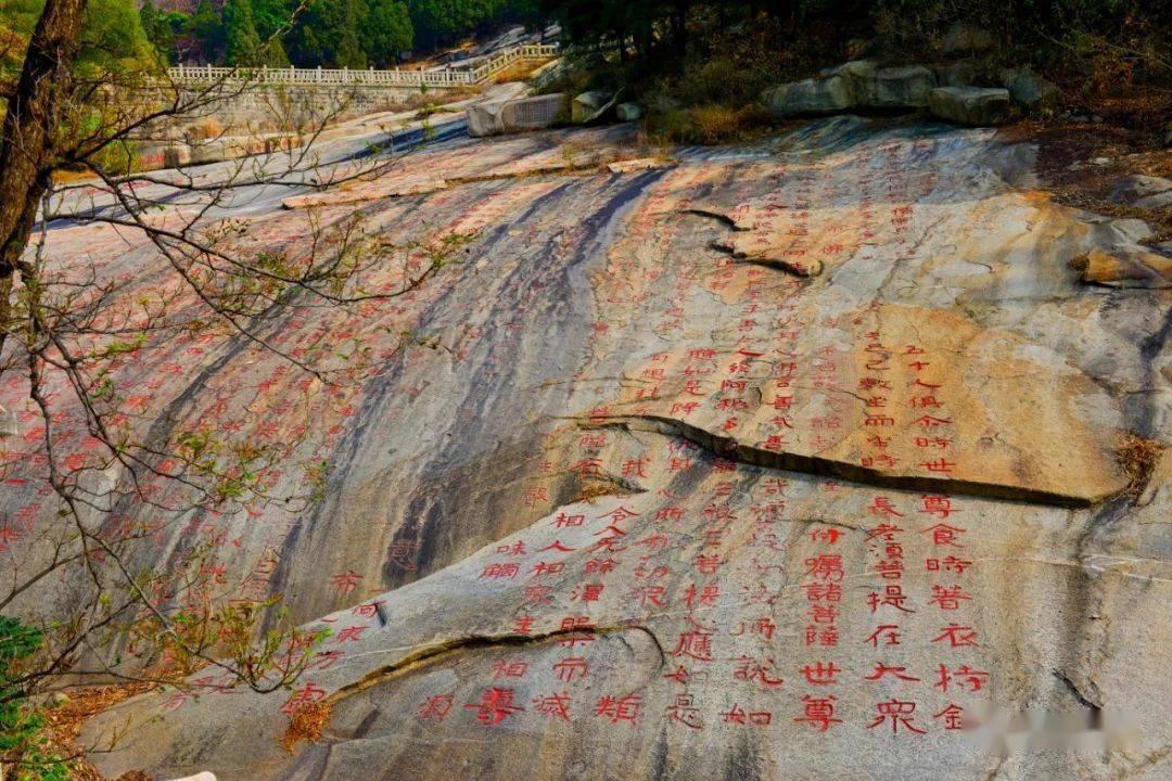 波西亚时光