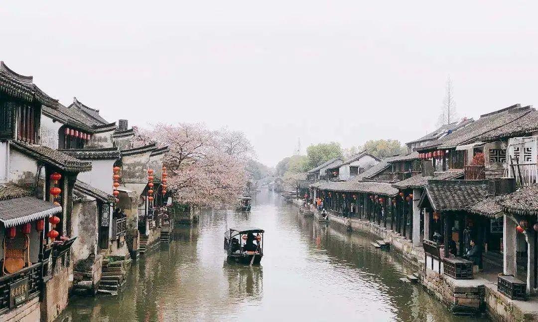 25岁+去黑眼圈抗衰老必备眼部护理臻品悦蕾植物抗衰多效眼膜